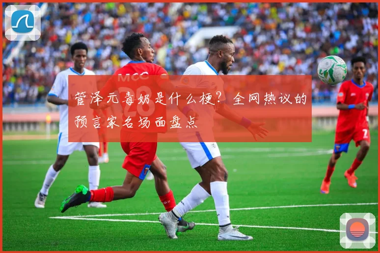 管泽元毒奶是什么梗?全网热议的预言家名场面盘点
